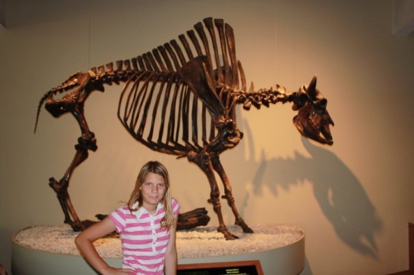 A girl standing in front of a fossil skeleton of an extinct bison in the Page Museum at the La Brea Tar Pits in Los Angeles.