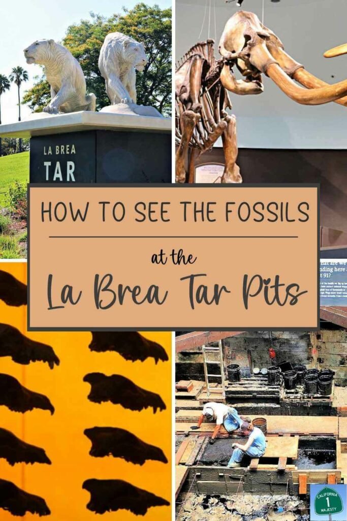 Four pictures of the La Brea Tar Pits with the text "How to see the fossils at the La Brea Tar Pits."