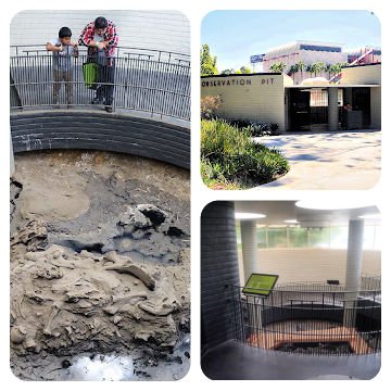 A collage of three pictures showing the exterior and interior of the Observation Pit at the La Brea Tar Pits in Los Angeles.