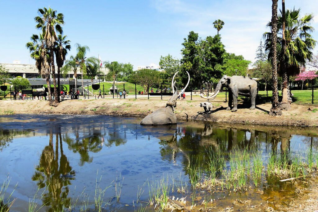 Mammoth statues in and next to the Lake Pit at the La Brea Tar Pits in Los Angeles.