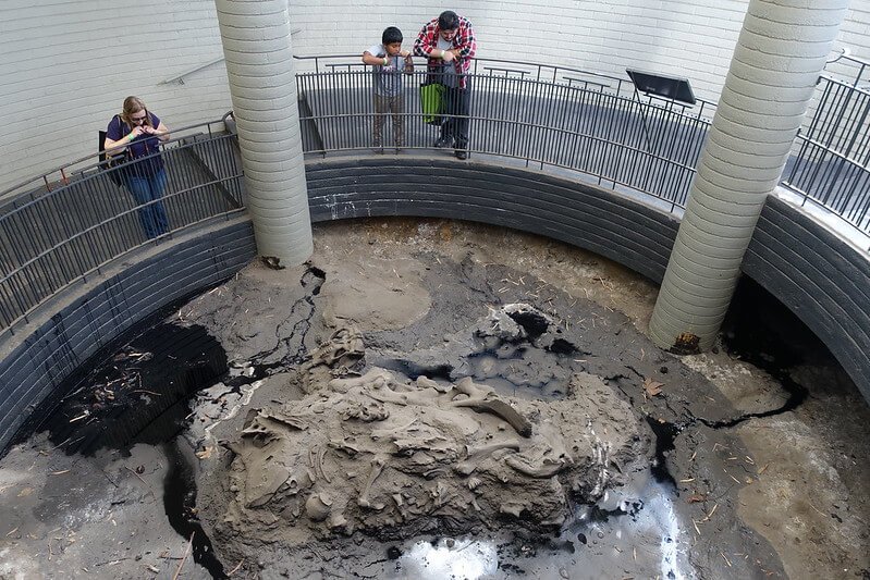 People looking at the fossils in one of the pits at the La Brea Tar Pits in Los Angeles.