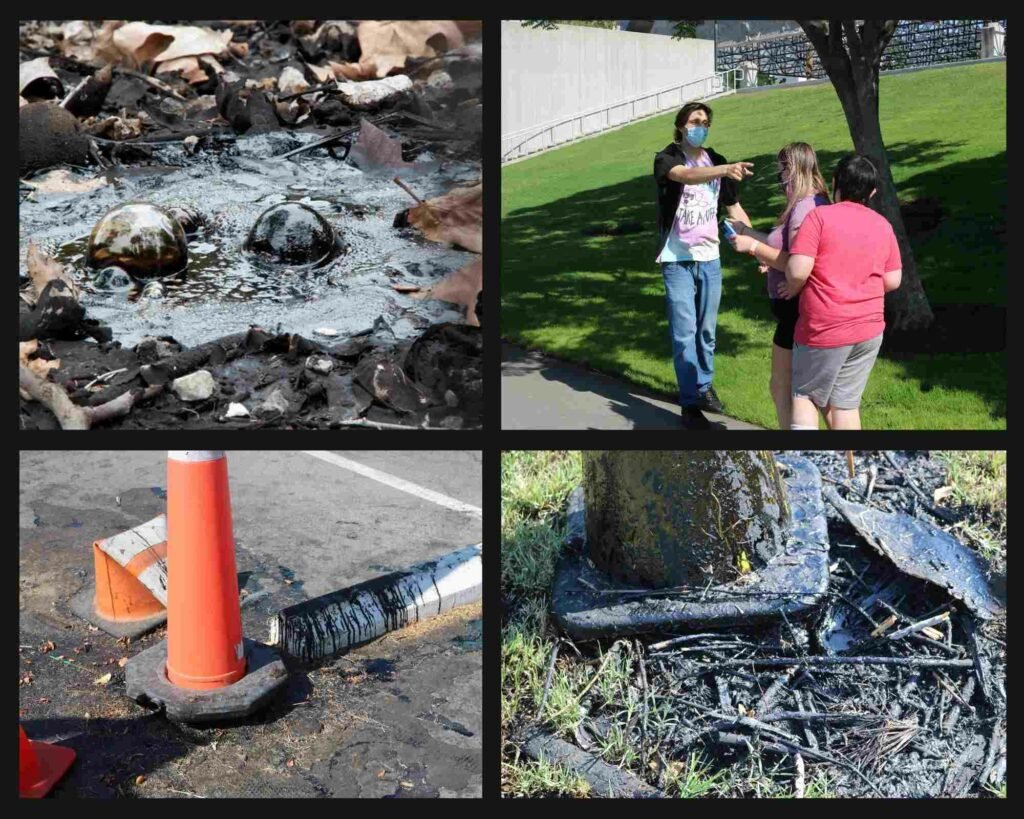 A collage of pictures showing the asphalt oozing out of the ground in Hancock Park and the La Brea Tar Pits.