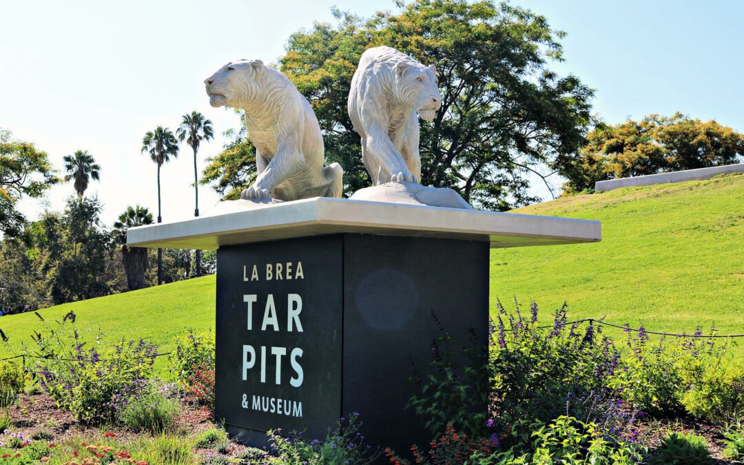 How to See Fossils at La Brea Tar Pits in Los Angeles