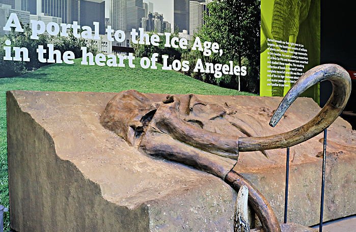 8 Fun Things You Can Do at the La Brea Tar Pits